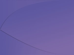 安全审计项目管理的核心要点