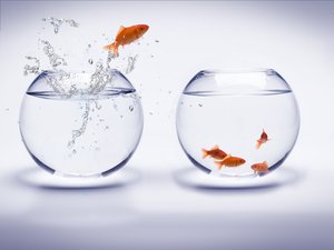 SavingsPlan